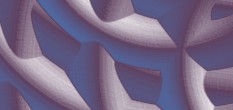 sex erotik orgasmus bild