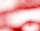 erotische foto vom photograph