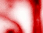erotik chatrooms