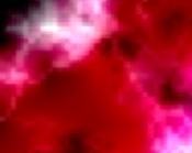 film video hardcore erotik