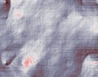 erotik pur