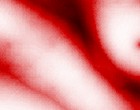 sex erotik orgasmus bild