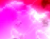 erotik strip