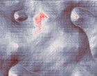 erotische foto erotische fotografie akt