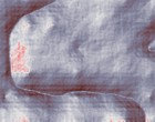 naumann filmproduktion