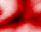 kln erotik