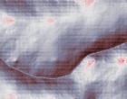 erotik download