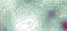 aesthetik naturwissenschaft