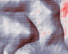 aesthetik naturwissenschaft