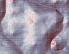aesthetik forum