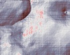 erotik bilder