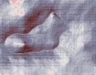 erotik dessous