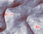 erotik model