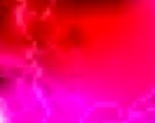 dvd erotik