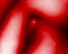 free erotik games
